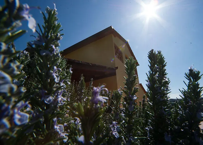 Lo Zolfino Bauernhof *